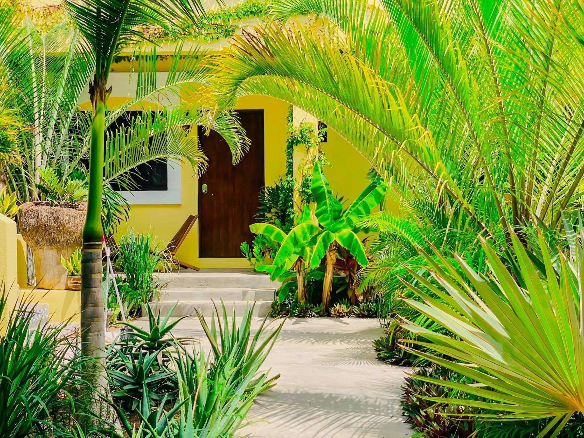 Gallo Azul Hotel, En El Corazon De Todos Santos Exteriör bild