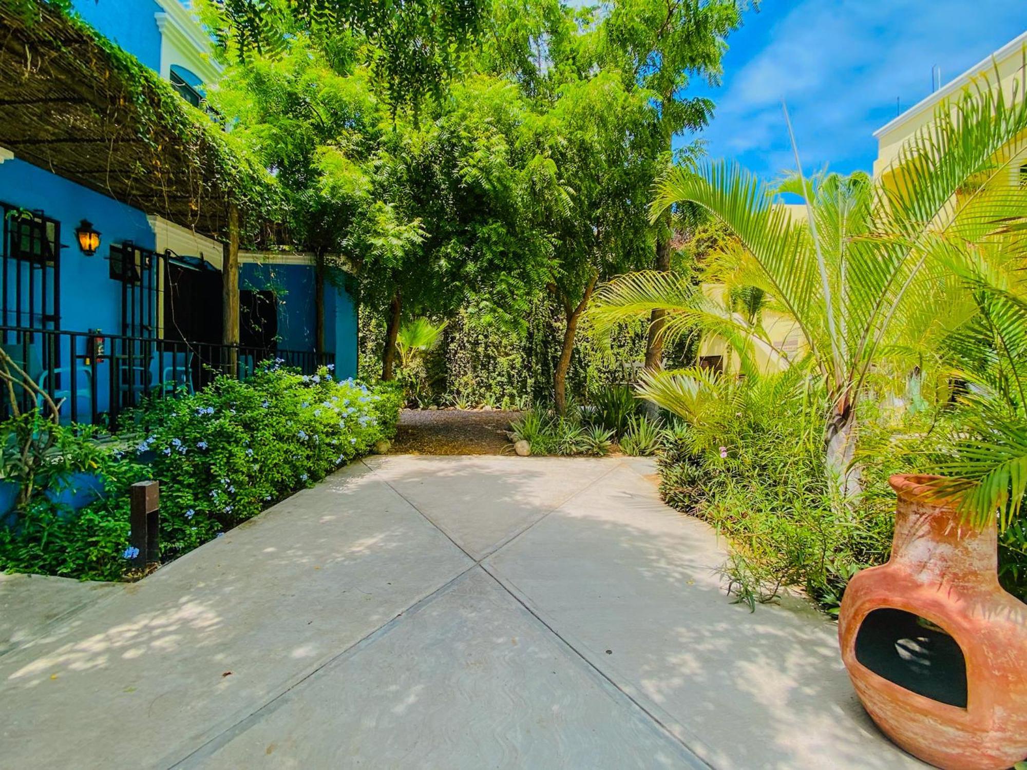 Gallo Azul Hotel, En El Corazon De Todos Santos Exteriör bild