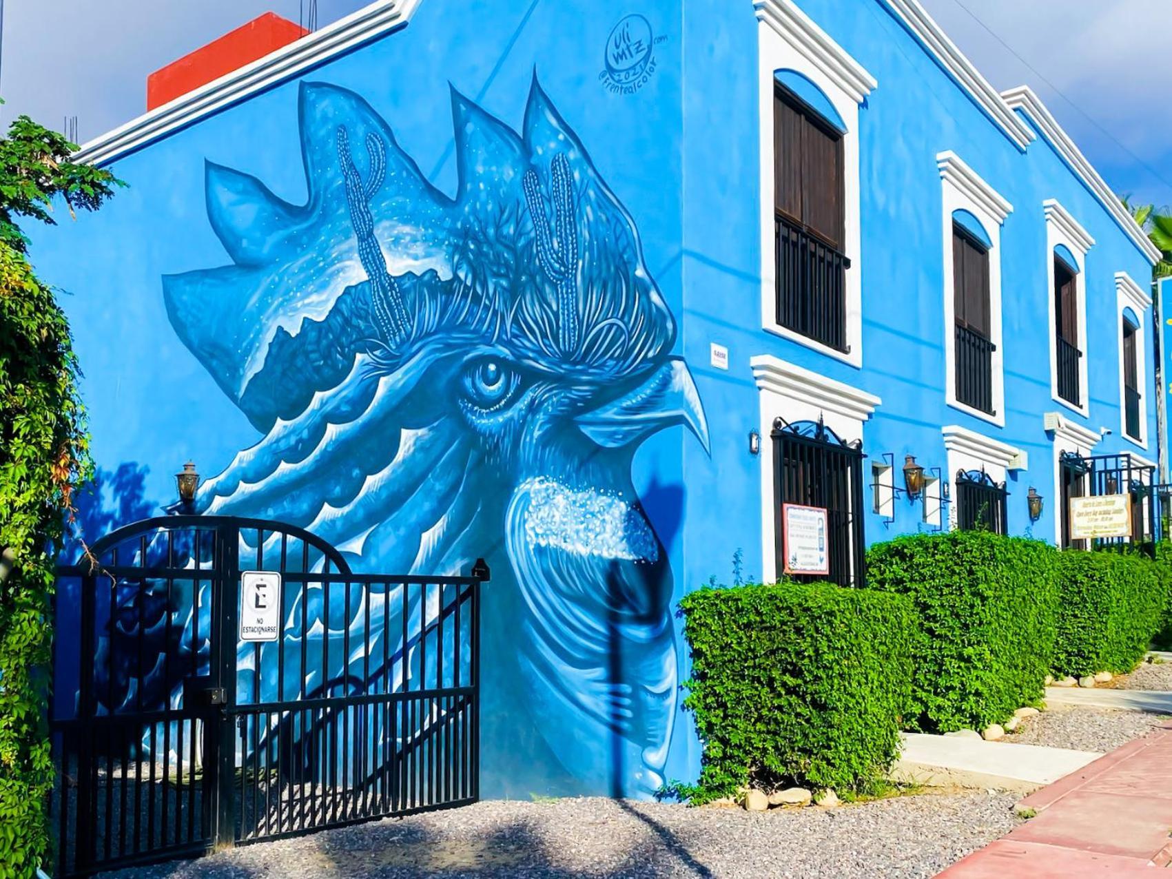 Gallo Azul Hotel, En El Corazon De Todos Santos Exteriör bild