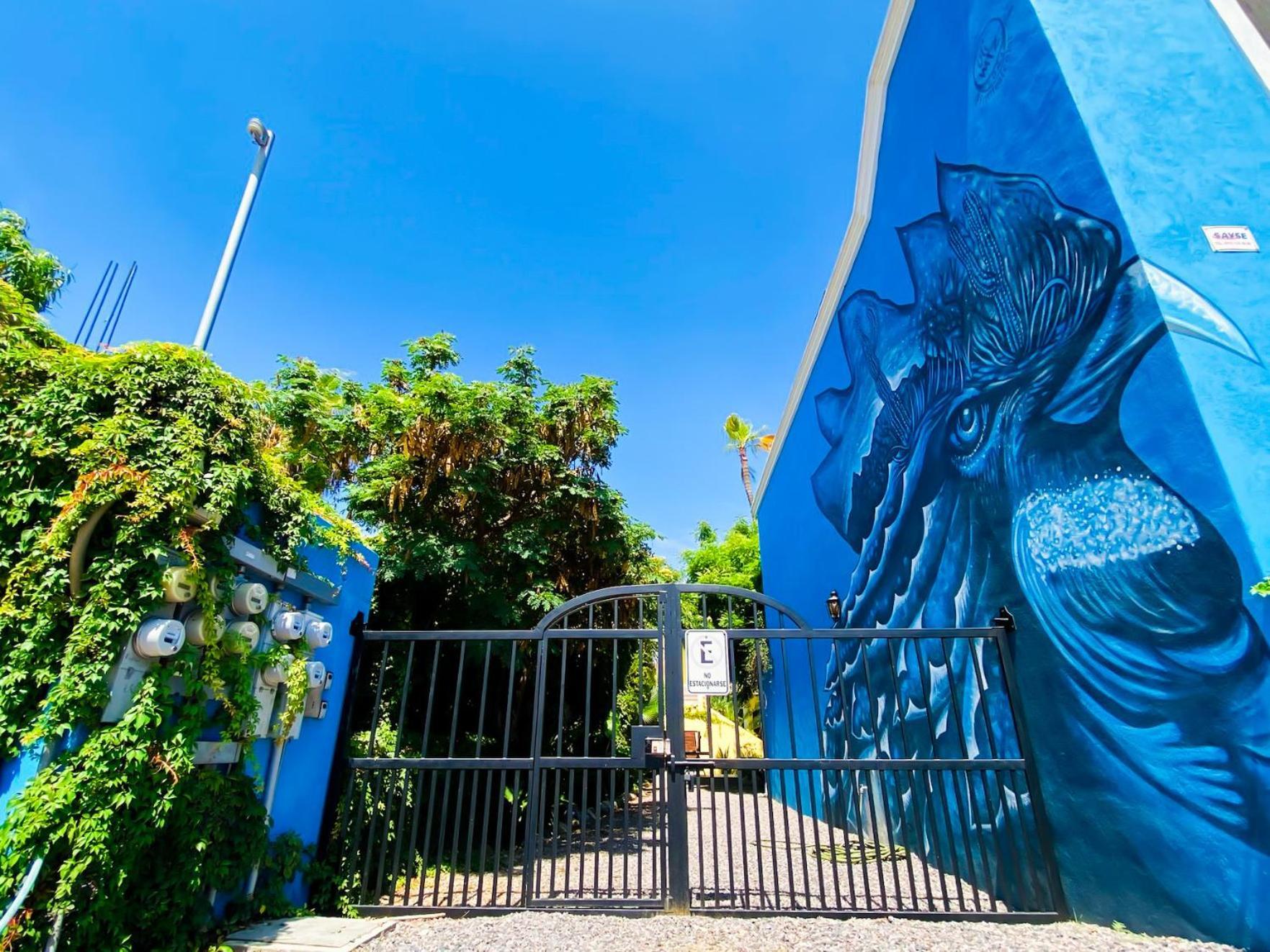 Gallo Azul Hotel, En El Corazon De Todos Santos Exteriör bild
