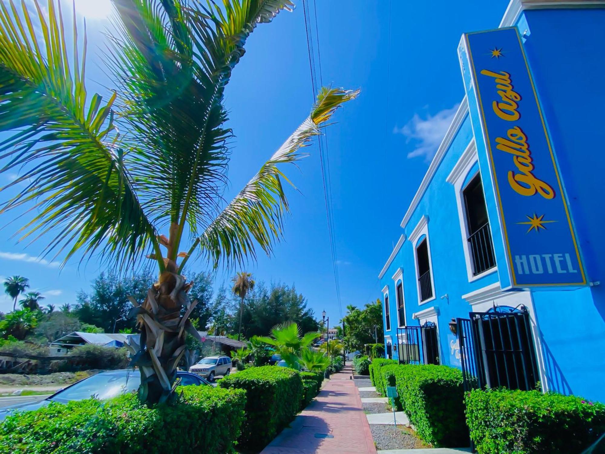 Gallo Azul Hotel, En El Corazon De Todos Santos Exteriör bild