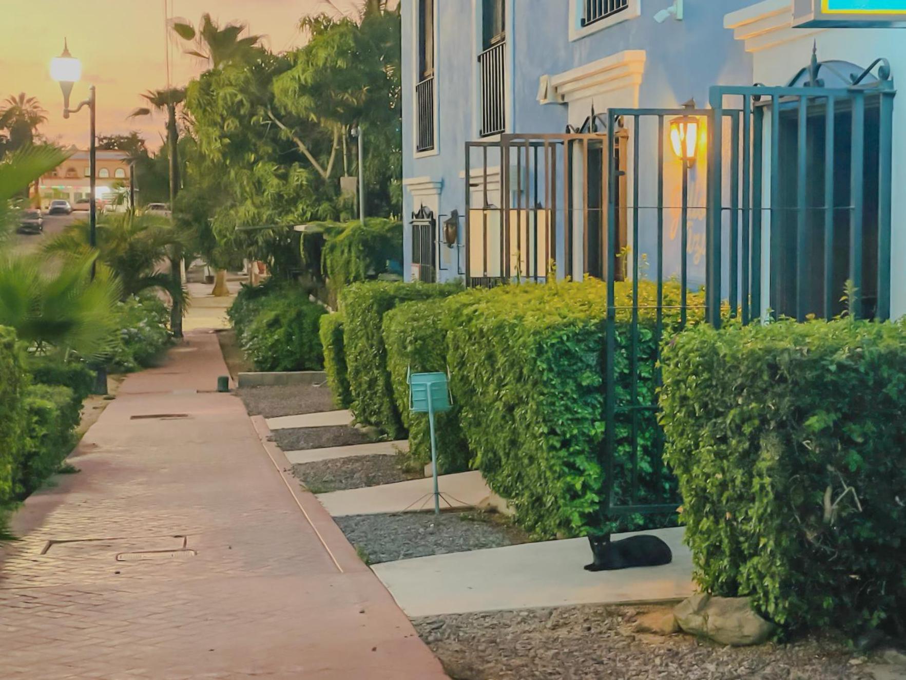 Gallo Azul Hotel, En El Corazon De Todos Santos Exteriör bild