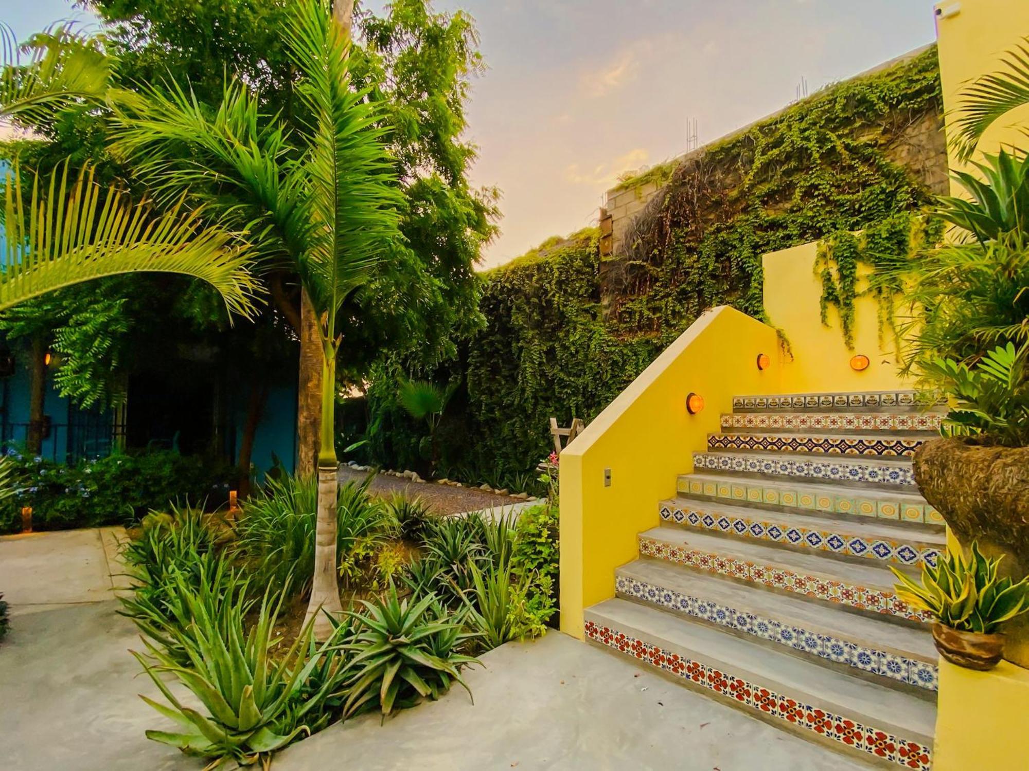 Gallo Azul Hotel, En El Corazon De Todos Santos Exteriör bild