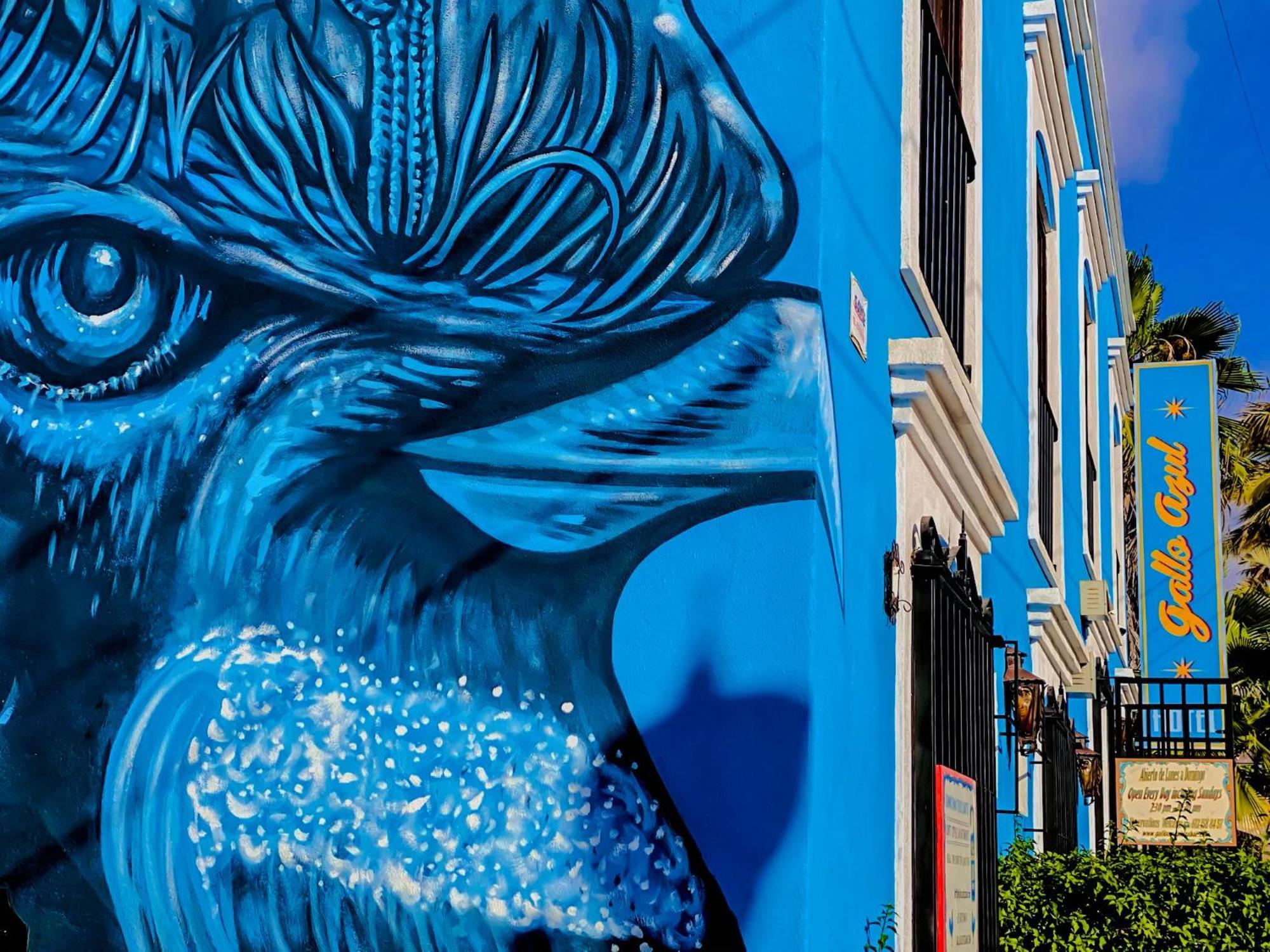 Gallo Azul Hotel, En El Corazon De Todos Santos Exteriör bild
